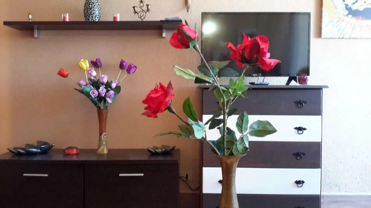 Romantica Palmeras Apartment Los Realejos